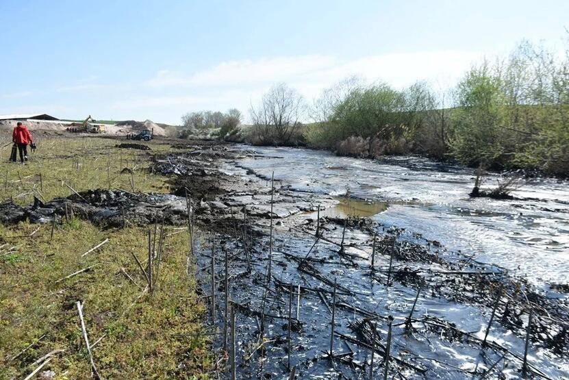 Edirne'de zift kaplı tarlalarda temizlik! Elleriyle topladılar - 10