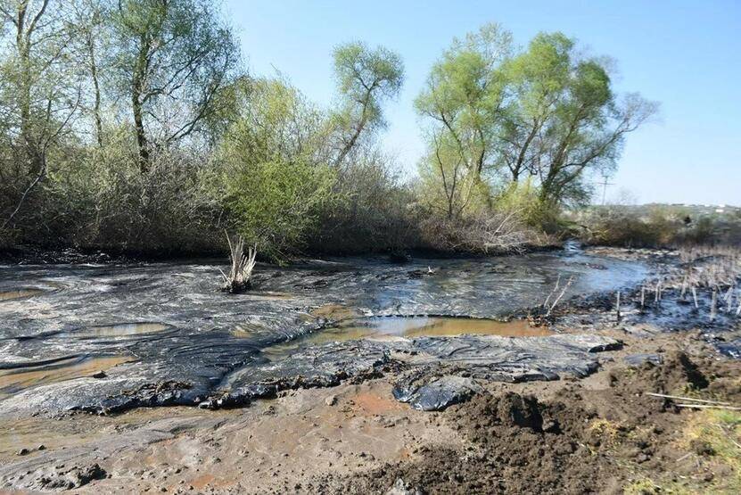 Edirne'de zift kaplı tarlalarda temizlik! Elleriyle topladılar - 3