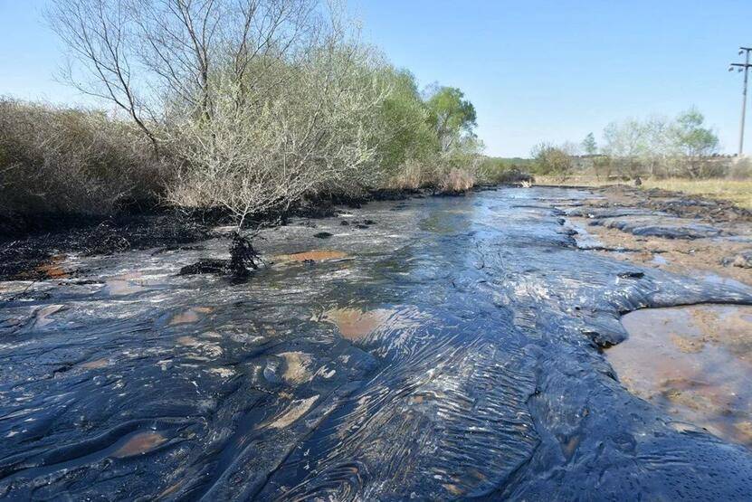 Edirne'de zift kaplı tarlalarda temizlik! Elleriyle topladılar - 6