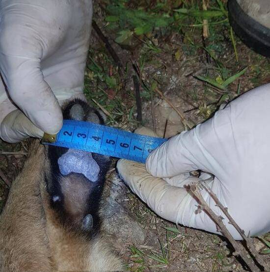 Türkiye'nin ikincisi oldu: Serçin - 5