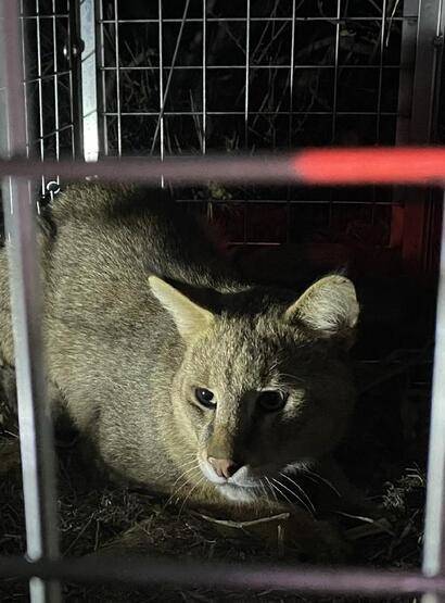 Türkiye'nin ikincisi oldu: Serçin - 6