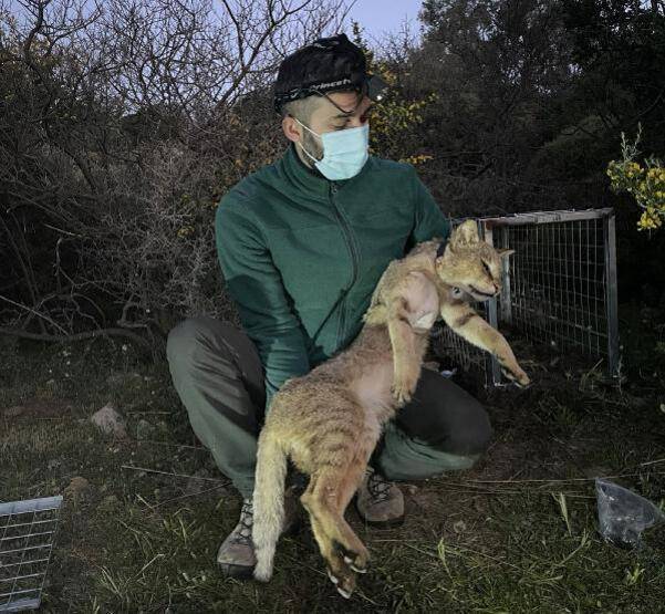 Türkiye'nin ikincisi oldu: Serçin - 1