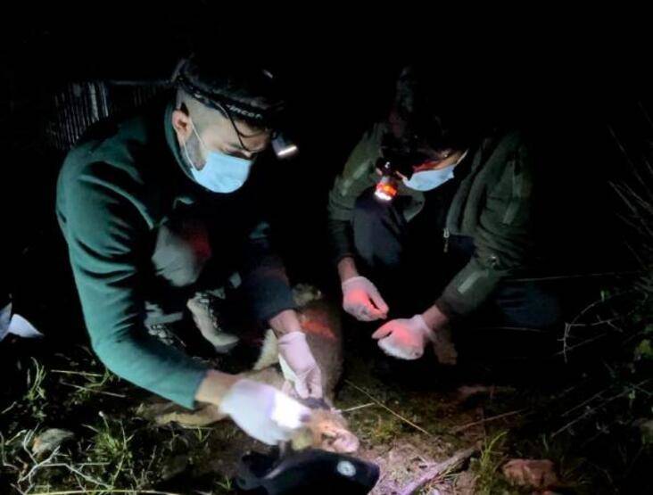 Türkiye'nin ikincisi oldu: Serçin - 2