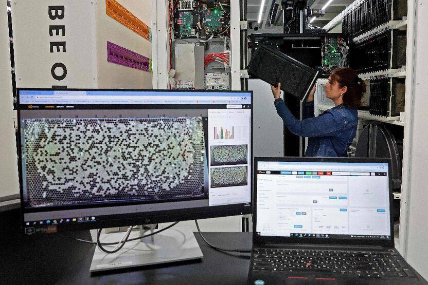 Bal üretiminde yeni dönem: Yapay zeka destekli 'robot kovanlar' - 3