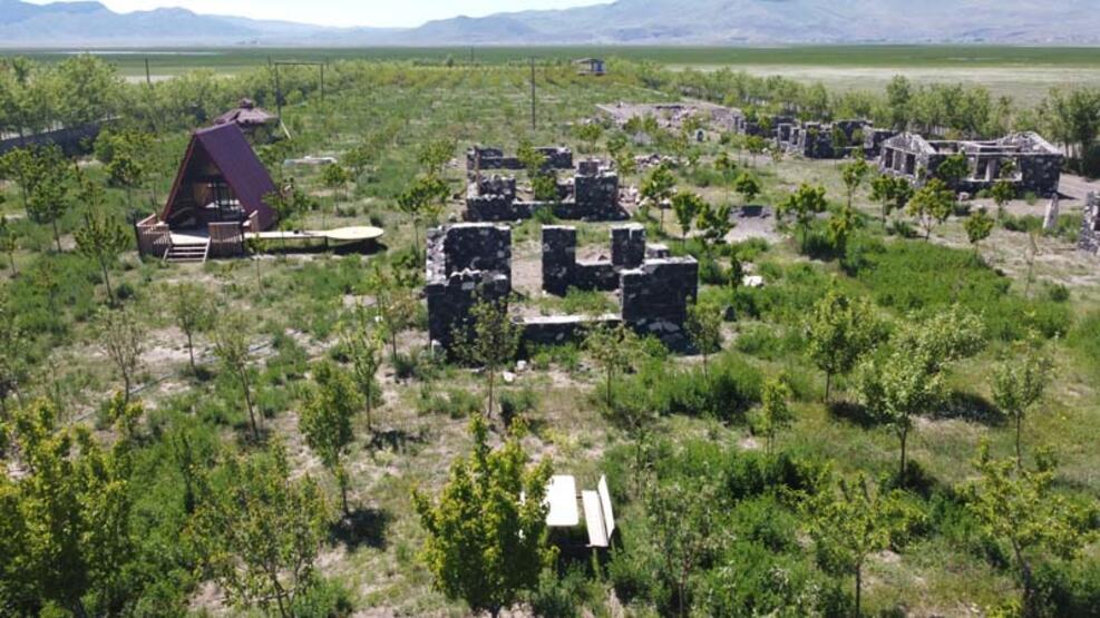 5 milyon TL'lik çocukluk hayali; Binlerce fidan dikip orman kurdu - 6