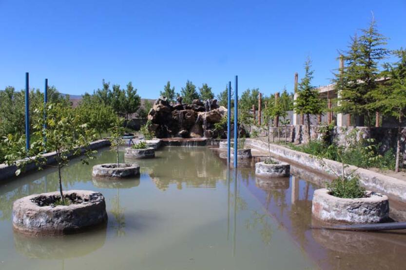 5 milyon TL'lik çocukluk hayali; Binlerce fidan dikip orman kurdu - 5