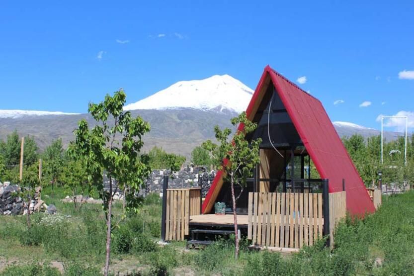 5 milyon TL'lik çocukluk hayali; Binlerce fidan dikip orman kurdu - 4