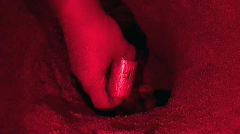 Küresel ısınma caretta carettaların erkek soyunu tehdit ediyor - 2