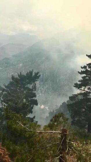 Antalya'da orman yangını! Ekipler müdahale ediyor - 3