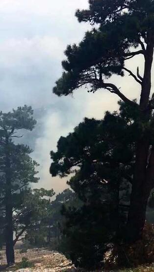 Antalya'da orman yangını! Ekipler müdahale ediyor - 2
