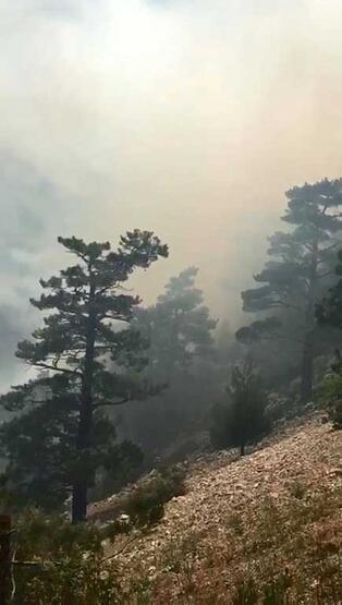 Antalya'da orman yangını! Ekipler müdahale ediyor - 5