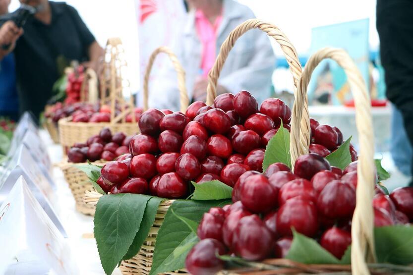 Tekirdağ'ın 'en güzel kirazı' seçildi - 8