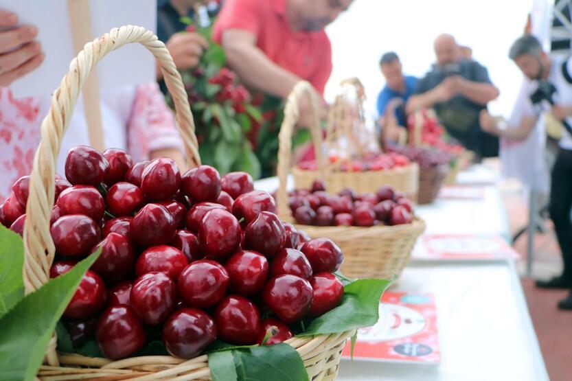 Tekirdağ'ın 'en güzel kirazı' seçildi - 6