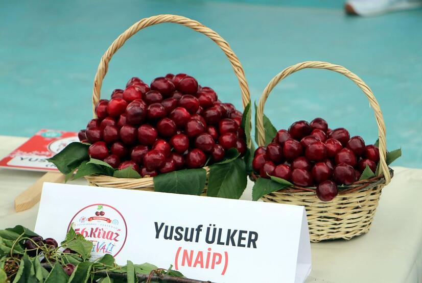 Tekirdağ'ın 'en güzel kirazı' seçildi - 2
