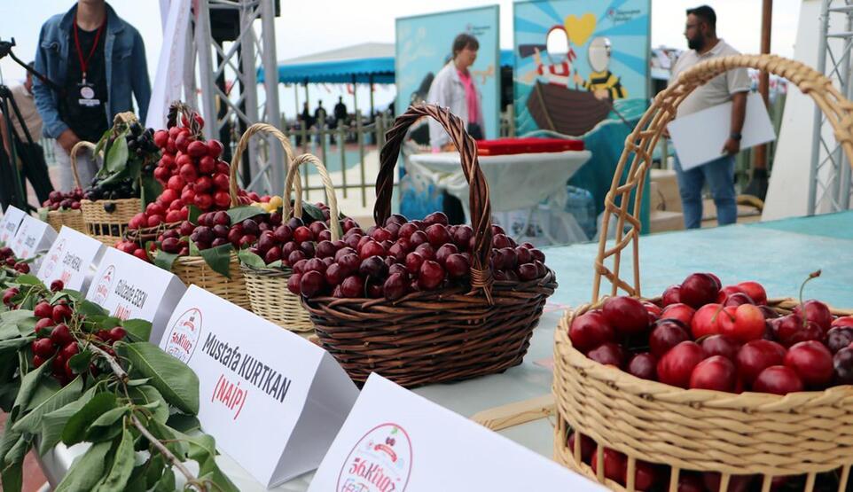 Tekirdağ'ın 'en güzel kirazı' seçildi - 1