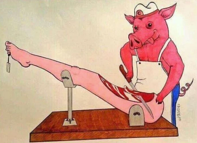 Hayvanlarla insanlar yer değiştirse nasıl olurdu? - 4