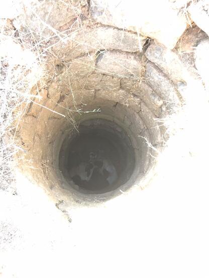 Datça'da içi boş su kuyuya düşen inek kurtarıldı - 2