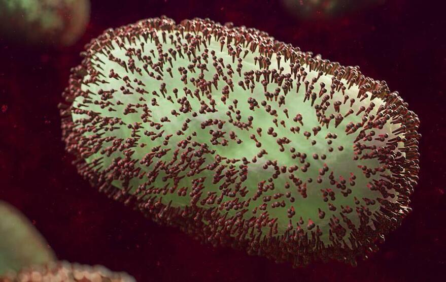 Rusya’da ilk maymun çiçeği vakası görüldü - 5