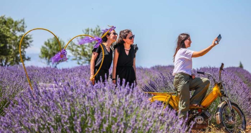 'Ota kim bakar' denilen mor bahçeler, 47 yıldır geçim kaynağı - 8