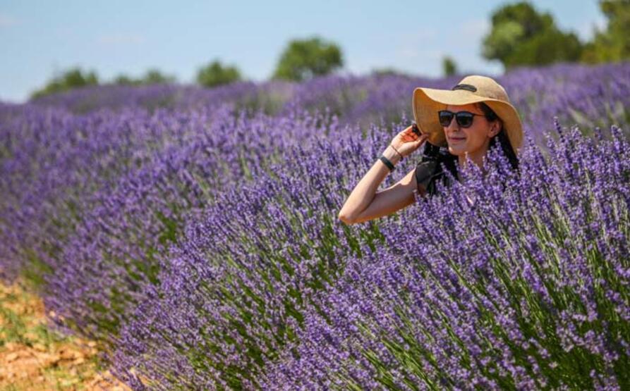 'Ota kim bakar' denilen mor bahçeler, 47 yıldır geçim kaynağı - 5