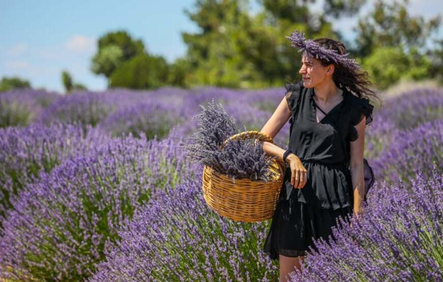'Ota kim bakar' denilen mor bahçeler, 47 yıldır geçim kaynağı - 4