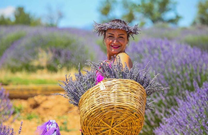 'Ota kim bakar' denilen mor bahçeler, 47 yıldır geçim kaynağı - 2