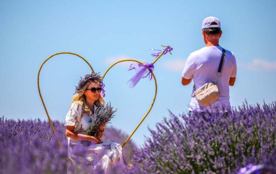 'Ota kim bakar' denilen mor bahçeler, 47 yıldır geçim kaynağı - 9