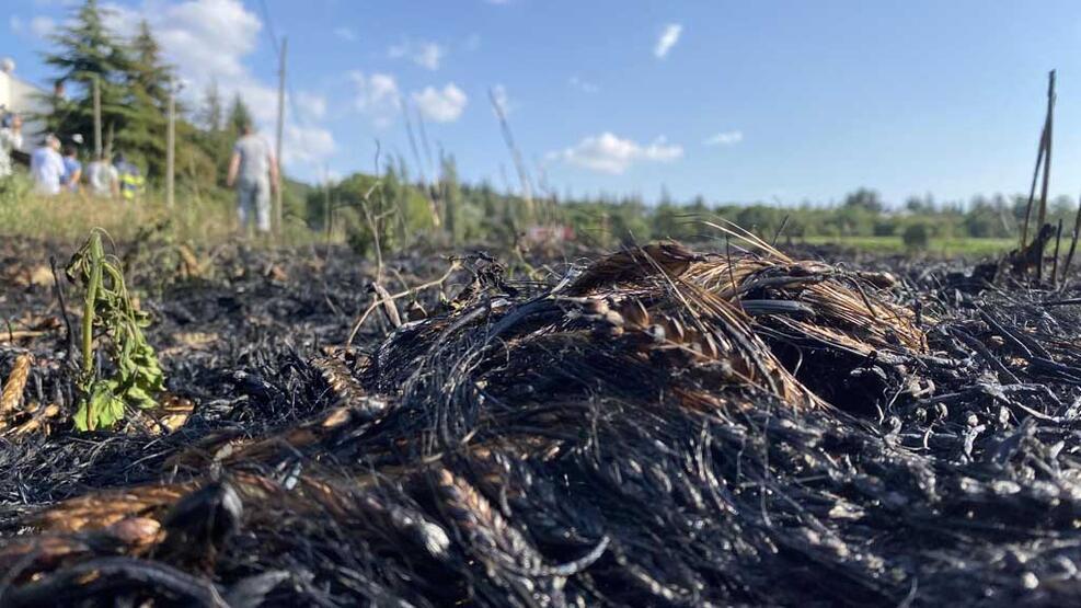 Yangın 30 dakika sürdü ama... 40 dönüm arpa kül oldu! - 7