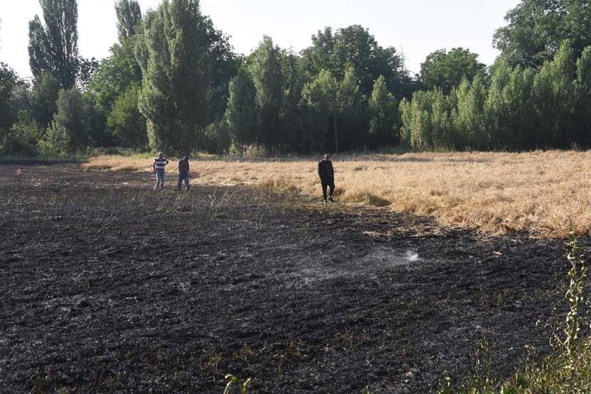 Yangın 30 dakika sürdü ama... 40 dönüm arpa kül oldu! - 9