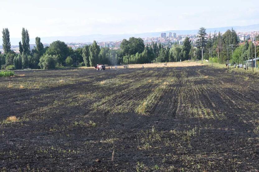 Yangın 30 dakika sürdü ama... 40 dönüm arpa kül oldu! - 5