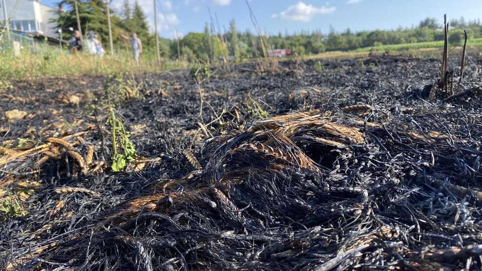 Yangın 30 dakika sürdü ama... 40 dönüm arpa kül oldu! - 4