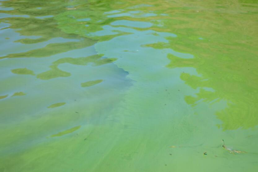 Görüntüler endişe yaratmıştı! İSKİ'den açıklama geldi - 5