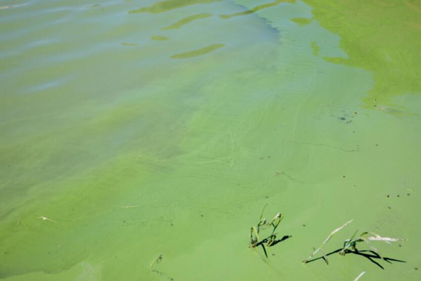 Görüntüler endişe yaratmıştı! İSKİ'den açıklama geldi - 4