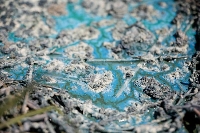 Görüntüler endişe yaratmıştı! İSKİ'den açıklama geldi - 10