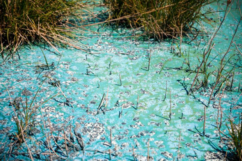 Görüntüler endişe yaratmıştı! İSKİ'den açıklama geldi - 2