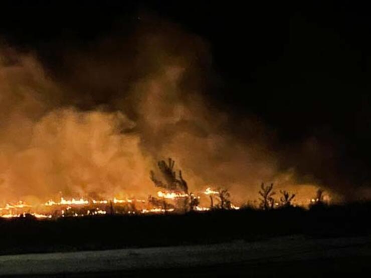 Bu defa insanlar değil leylekler yangın çıkardı - 4