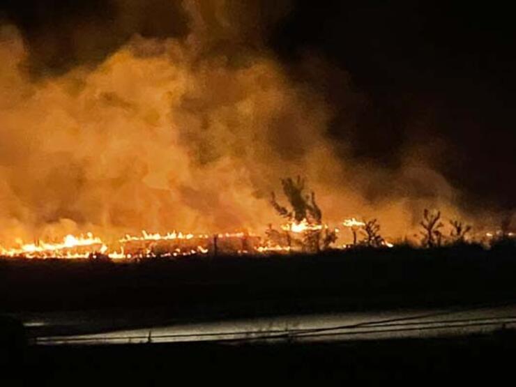 Bu defa insanlar değil leylekler yangın çıkardı - 3