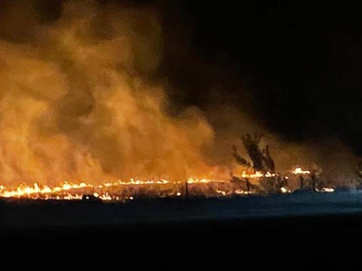 Bu defa insanlar değil leylekler yangın çıkardı - 2