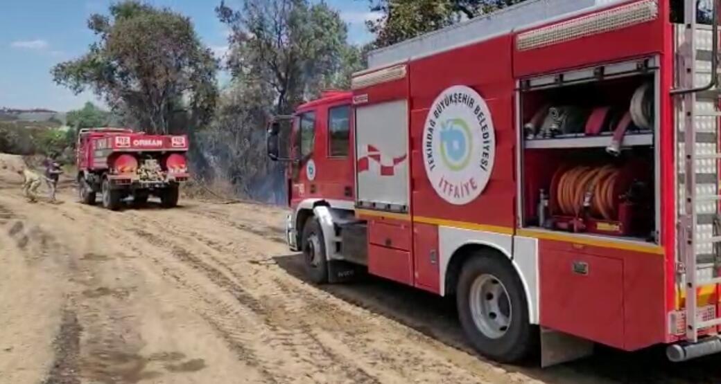 Tekirdağ'da anız yangını ormana sıçradı - 1