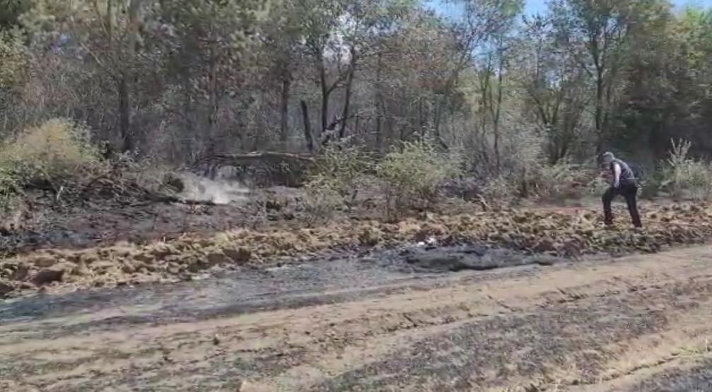 Tekirdağ'da anız yangını ormana sıçradı - 3