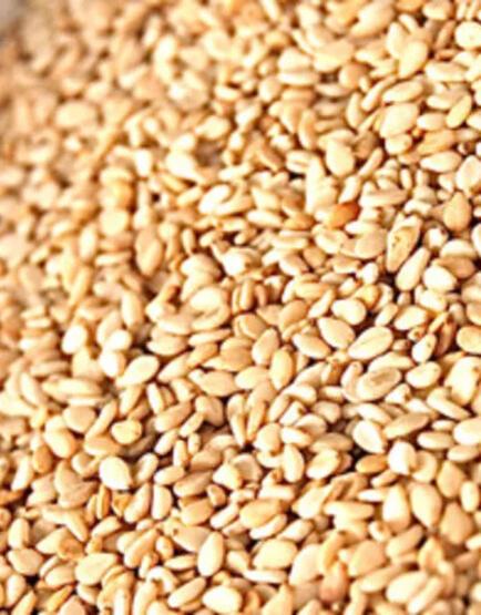 Kronik hastalık kalkanı 15 besin - 16