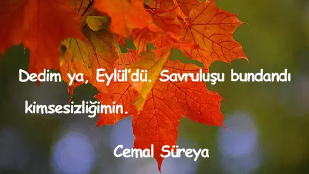 En güzel, anlamlı, resimli kısa, uzun seçenekleriyle Hoş geldin Eylül mesajları ve sözleri - 6