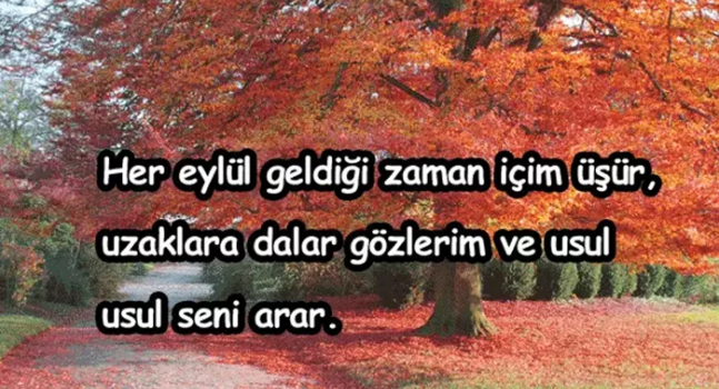 En güzel, anlamlı, resimli kısa, uzun seçenekleriyle Hoş geldin Eylül mesajları ve sözleri - 5