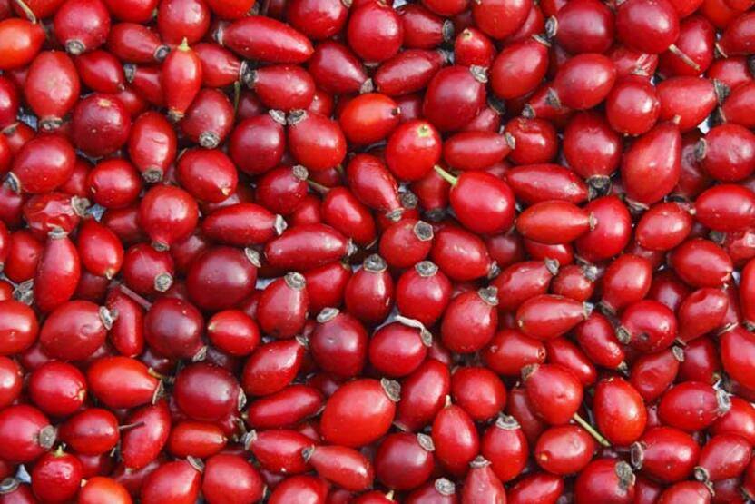 Kış hastalıklarına karşı birebir! Bağışıklığı güçlü tutuyor - 5