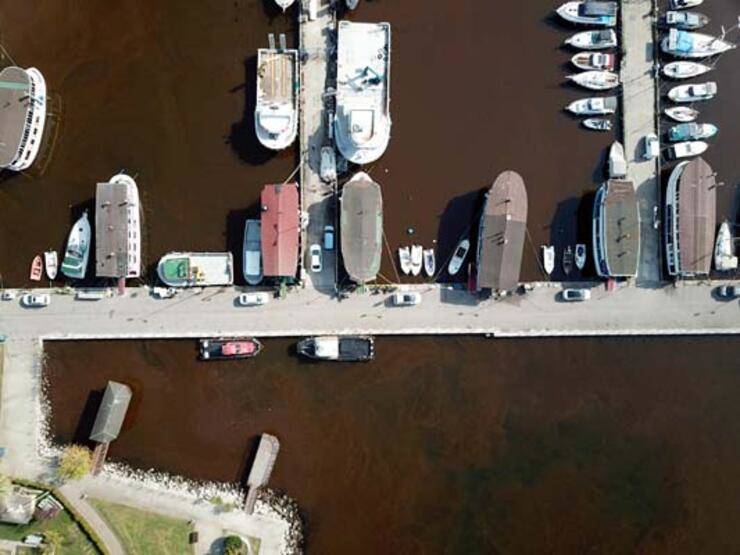 İzmit Körfezi, alg çoğalmasıyla kahverengiye döndü - 1