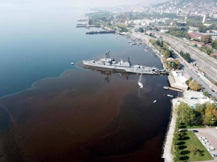 İzmit Körfezi, alg çoğalmasıyla kahverengiye döndü - 2