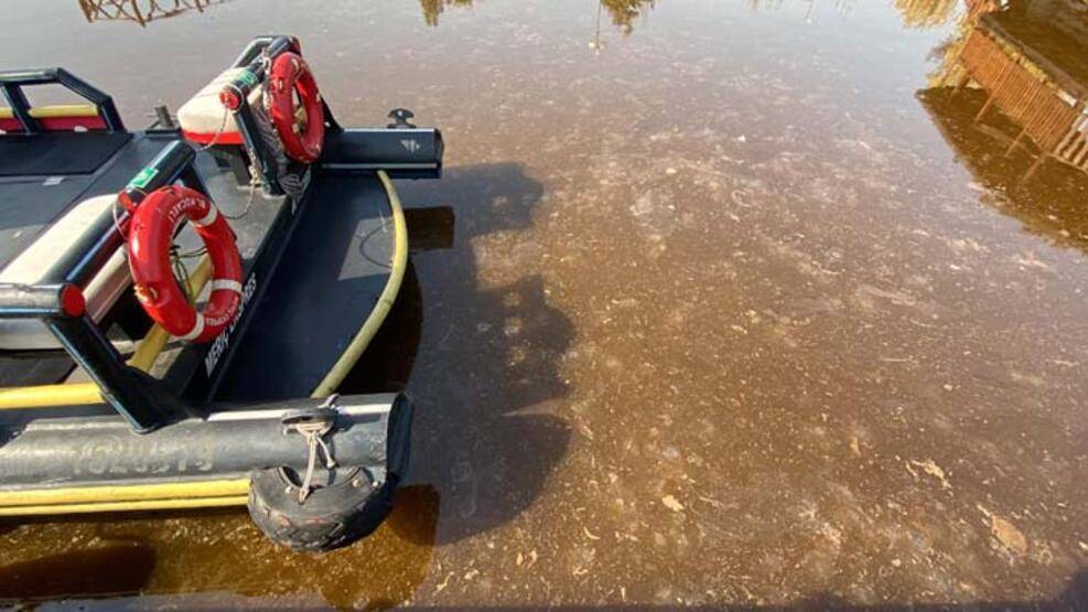 İzmit Körfezi, alg çoğalmasıyla kahverengiye döndü - 4