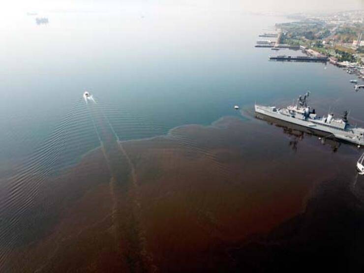 İzmit Körfezi, alg çoğalmasıyla kahverengiye döndü - 3
