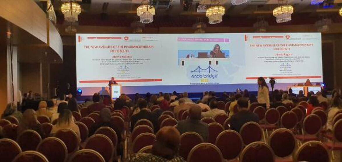 Diyabet tedavisinin en önemli isimlerinden Prof. Dr. Robert A. Gabbay: Yeni ilaç yolda - 3