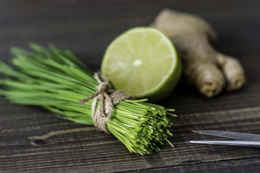 Neden glutatyonsuz yapamayız? Glutatyonumuzu nasıl artırırız? - 4